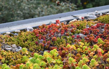 the cost of Harbledown green roof installation